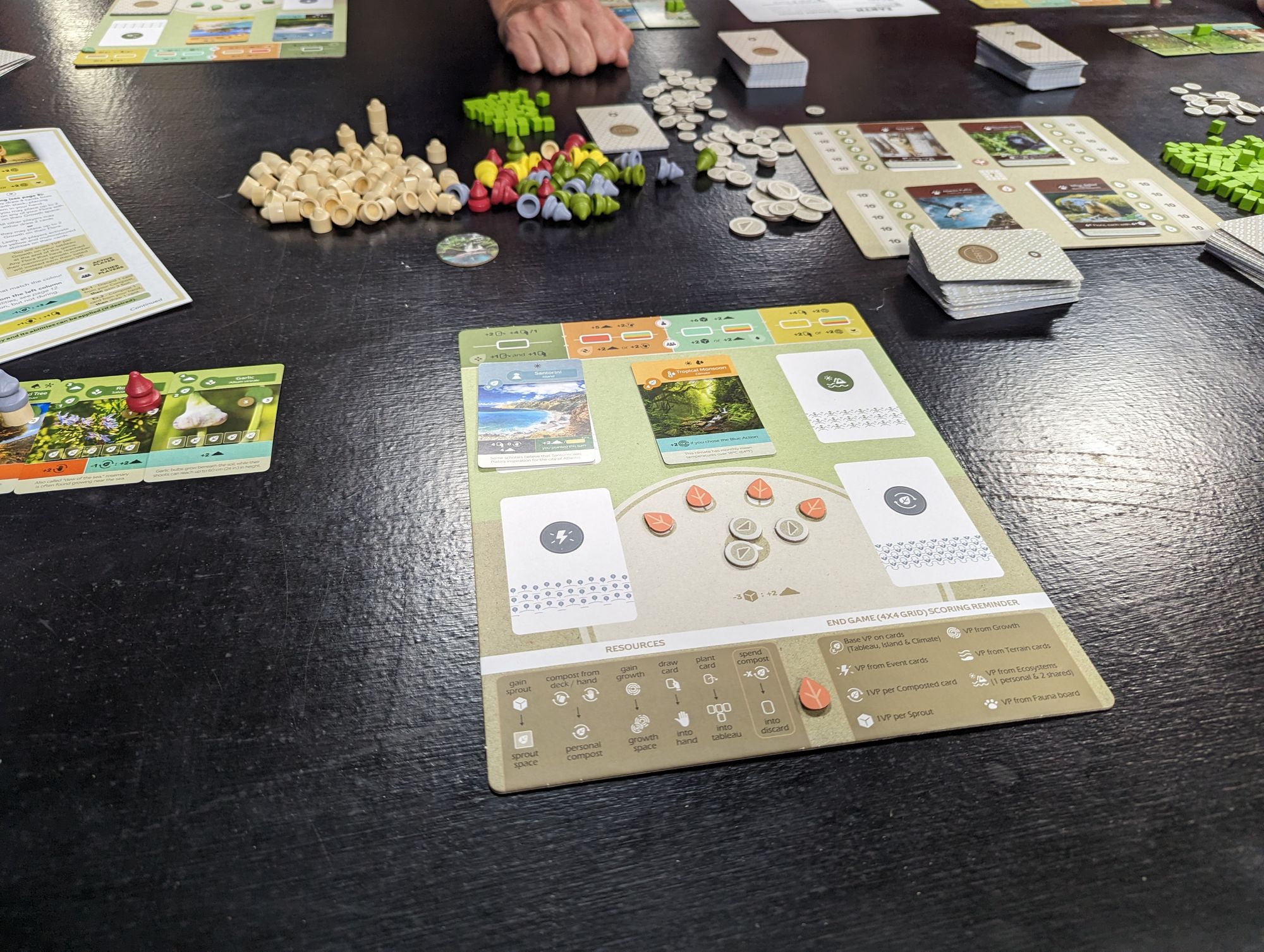 Exploring New Frontiers: My Journey with Earth at the Board Game Meetup