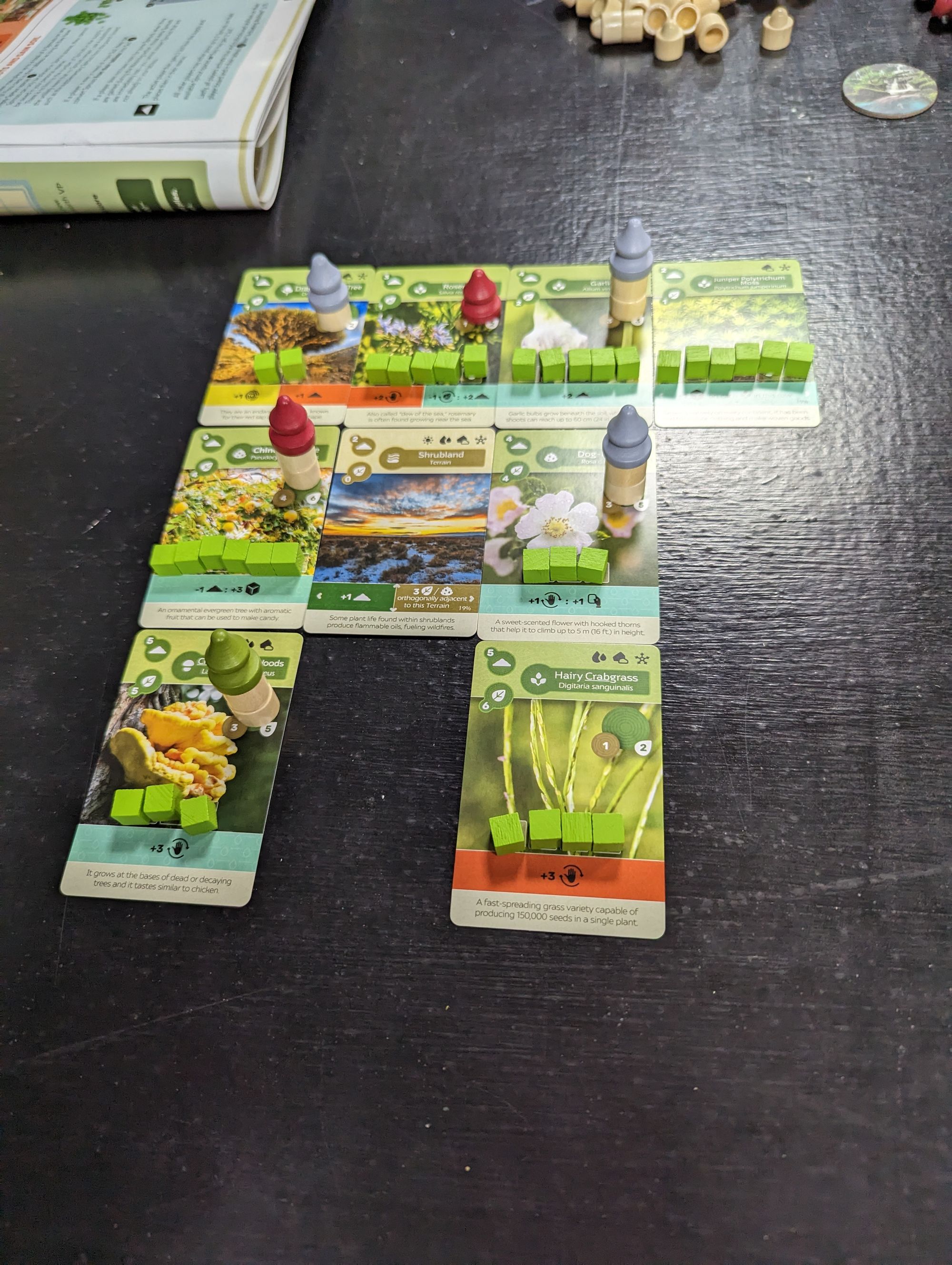 Exploring New Frontiers: My Journey with Earth at the Board Game Meetup