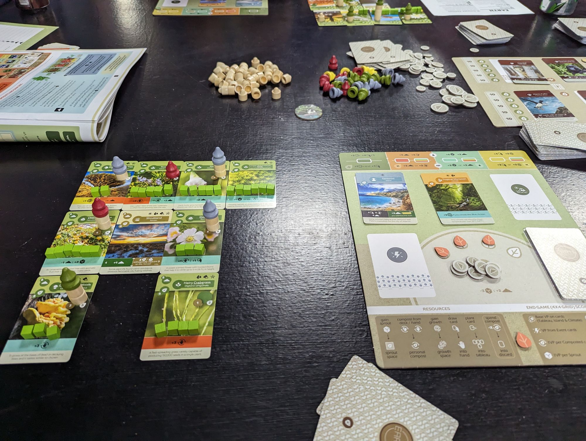 Exploring New Frontiers: My Journey with Earth at the Board Game Meetup