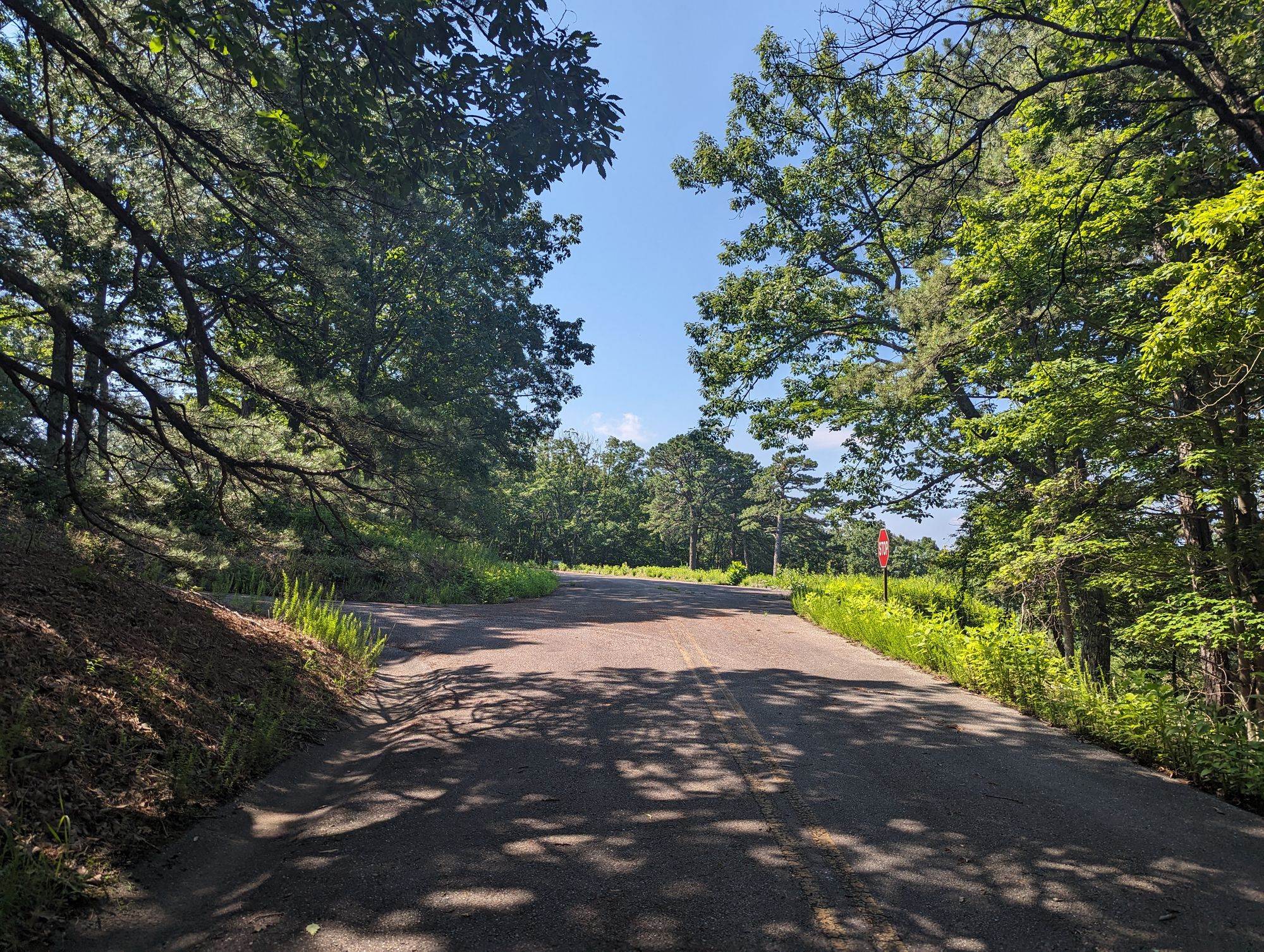 Title: Roanoke Mountain Hike: A Scenic Adventure in the Blue Ridge Mountains