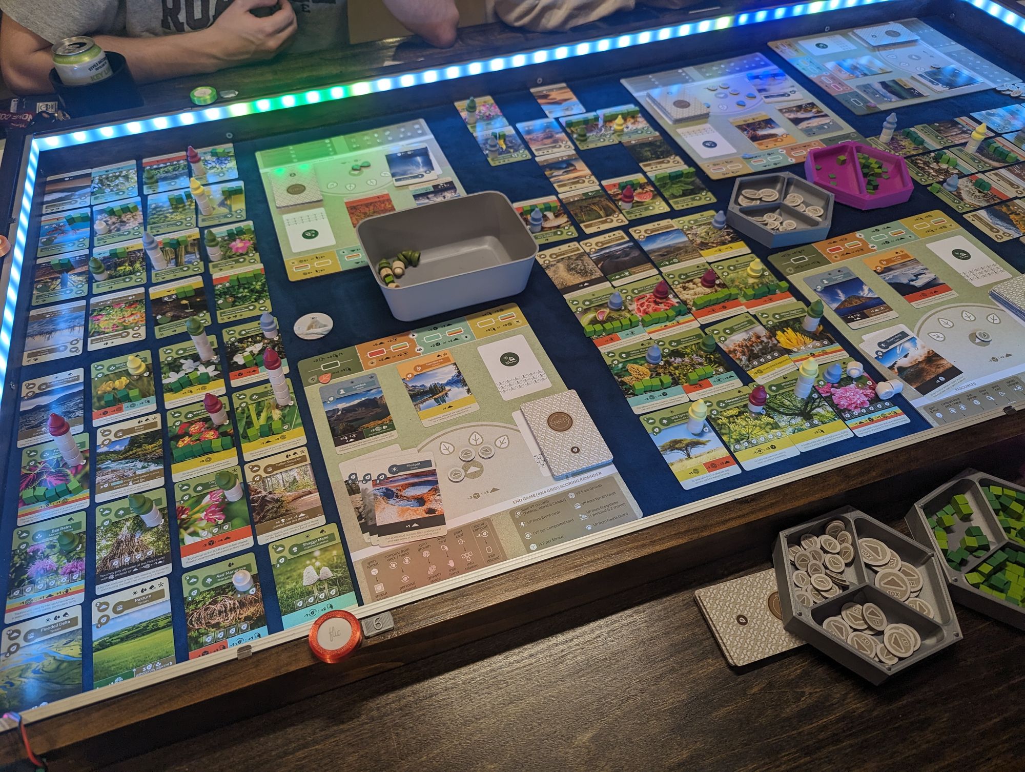 Earth: A Delightful Board Game Adventure of Synergistic Growth